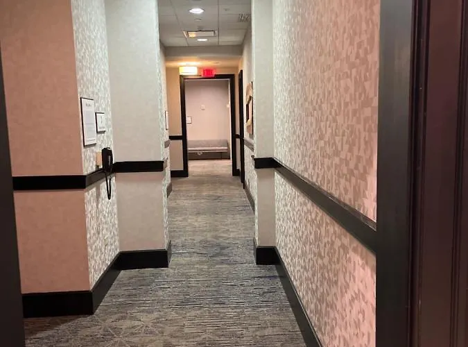 Hotel Sheraton Chicago Northbrook